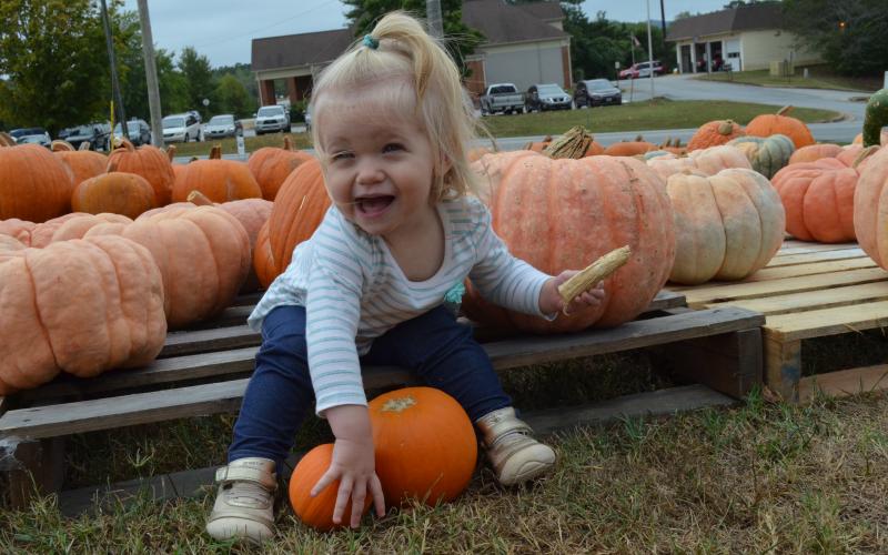 The pumpkin patch at St. Paul the Apostle Catholic Church is now open. (Photo/Stephanie Hill)