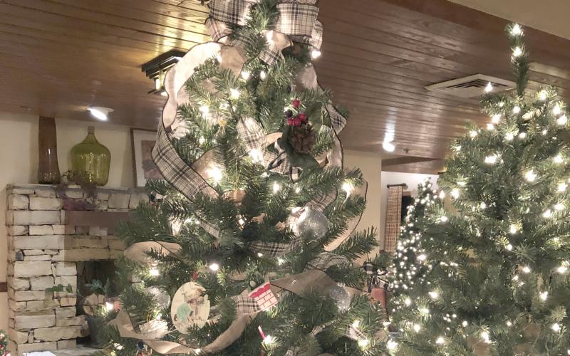 A variety of wreaths and trees – 7-foot and 4½-foot varieties – featured in the Festival of Trees fundraiser are up for bidding through Friday, Dec. 6.