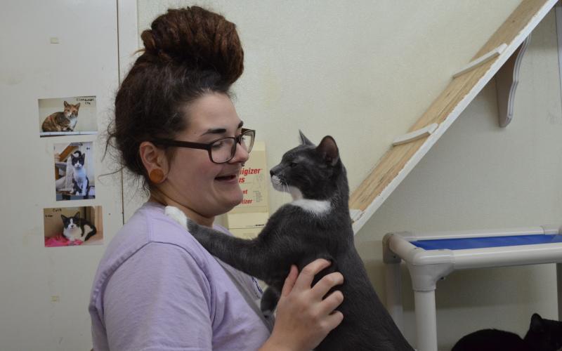 Charles Smithgall Humane Society staffer Lindsey Nelson and Kodi the cat greet each other. 
