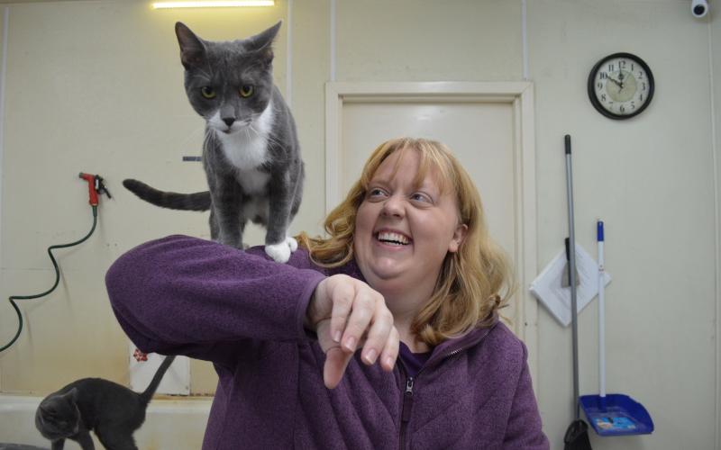 Our reporter Stephanie had a fun time visiting the Charles Smithgall Humane Society and Adoption Center last week. Check out this week's paper to find out more information about the shelter.