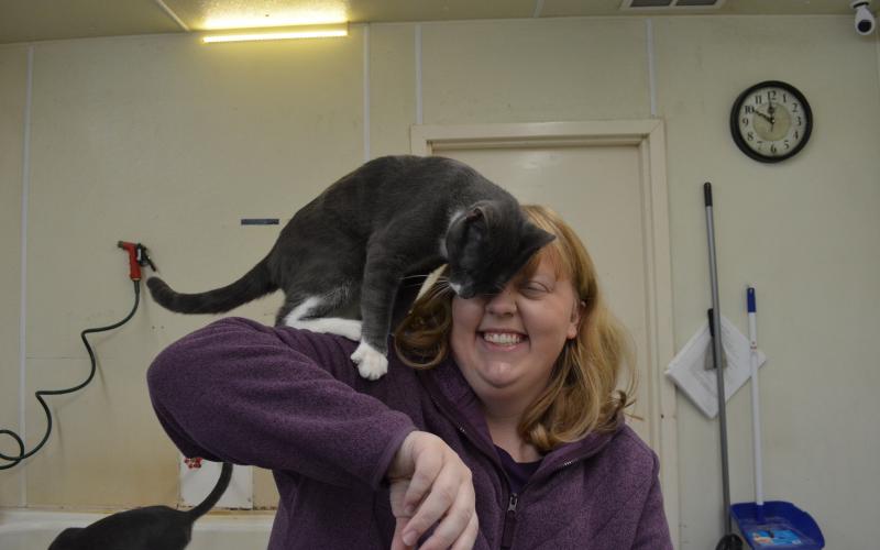 Jodi the cat had a fun time nuzzling up to reporter Stephanie Hill.