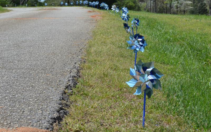 Pinwheels for prevention line the driveway up to the South Enotah Children’s Advocacy Center Office on Kenimer Street. (Photo/Stephanie Hill)
