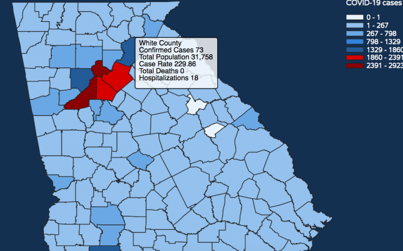 There have been 73 total confirmed COVID-19 cases in White County since the start of the pandemic, according to the 11:30 a.m. update on Saturday, May 2. (Image from Department of Public Health website)