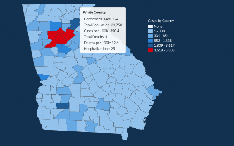 There have been 124 total confirmed COVID-19 cases in White County since the start of the pandemic, according to the update on Monday, June 15, on the Georgia Department of Public Health's website. (Image from DPH website)