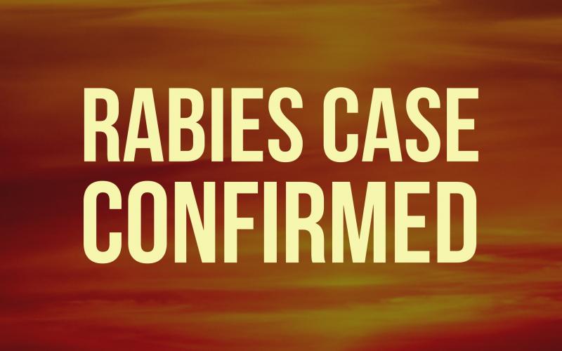 White County's fourth confirmed rabies case of the year was reported this past week in the West Underwood Street area of Cleveland.