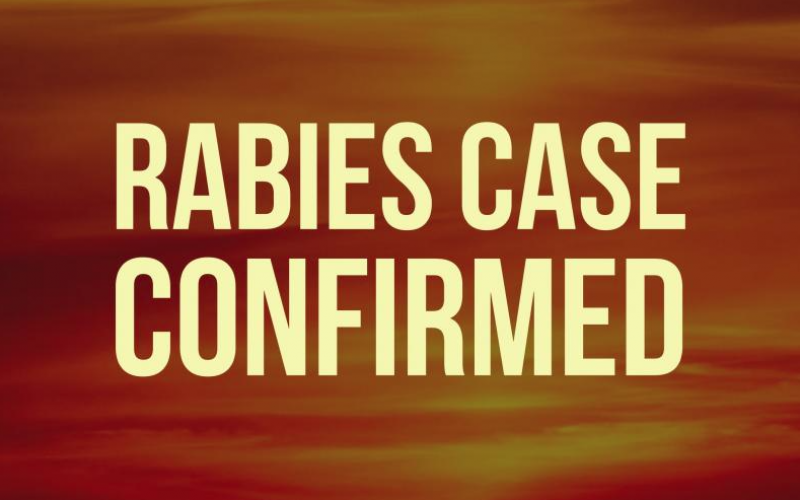 A rabid raccoon in the Walking Horse Lane area is the 15th confirmed rabies case in White County for 2020.