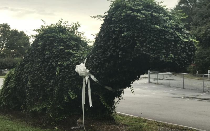 A white bow was attached to the “Nixasaurus” at Jack P. Nix Elementary school in memory of June Parks. (Photo/Stephanie Hill)