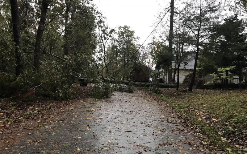 A tree fell onto a power line on Jackson Circle during the storm on Thursday, Oct. 29, knocking out power and blocking the road. (Photo/Stephanie Hill)