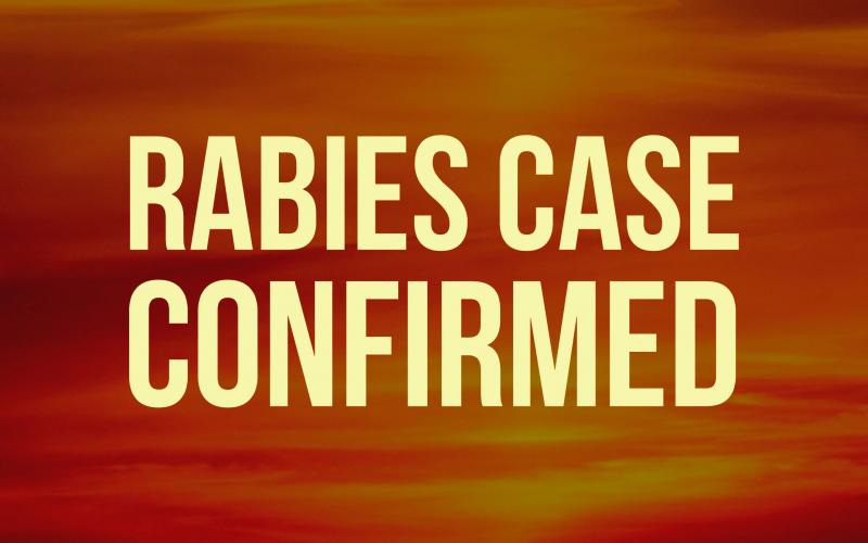 A rabid raccoon in the Donald Alexander Road area is the first confirmed rabies case in White County for 2021.
