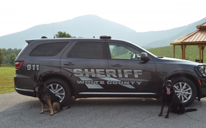 Henzo and Skuter are two of the newest members of the White County Sheriff's Office. (Photo/Stephanie Hill)