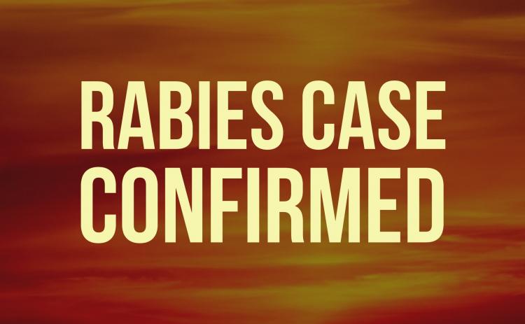 An incident involving a skunk on Sunday, Feb. 2, in the area of Hooper Road, is the first rabies case in White County for 2020. 