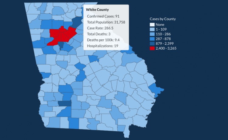 There have been 91 total confirmed COVID-19 cases in White County since the start of the pandemic. (Image from DPH website)