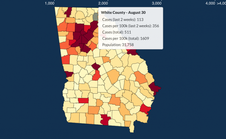 There have been 511 total confirmed COVID-19 cases in White County since the start of the pandemic, according to the update  on Sunday, Aug. 30, on the Georgia Department of Public Health's website. 