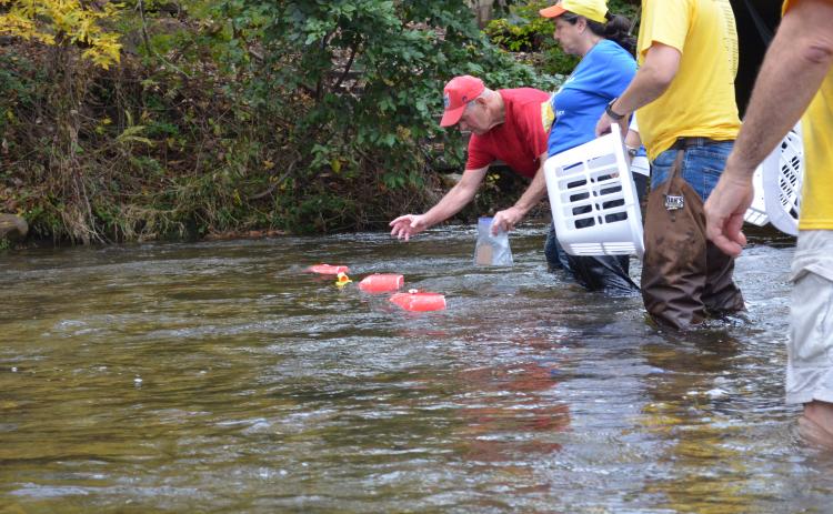 Mike Dixon reaches for one of the 2,400 rubber ducks released into the Chattahoochee River during the event. (Photo/Stephanie Hill)