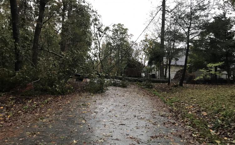 A tree fell onto a power line on Jackson Circle during the storm on Thursday, Oct. 29, knocking out power and blocking the road. (Photo/Stephanie Hill)