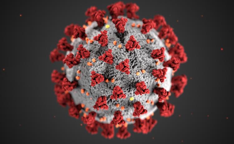 White County saw its second-highest month of confirmed coronavirus cases during the month of November.