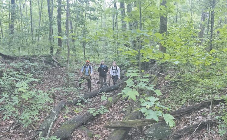 Pictured is the research team south of Unicoi Gap, standing on the 200-year-old road. Shown from left are Dr. Jacob McDonald, Brittany Mann and Katelynn Comer. (Photo courtesy Alan Hall)