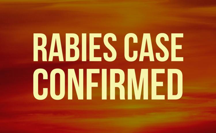 A rabid skunk in the Trinity Trail area is the third confirmed rabies case in White County for 2021.