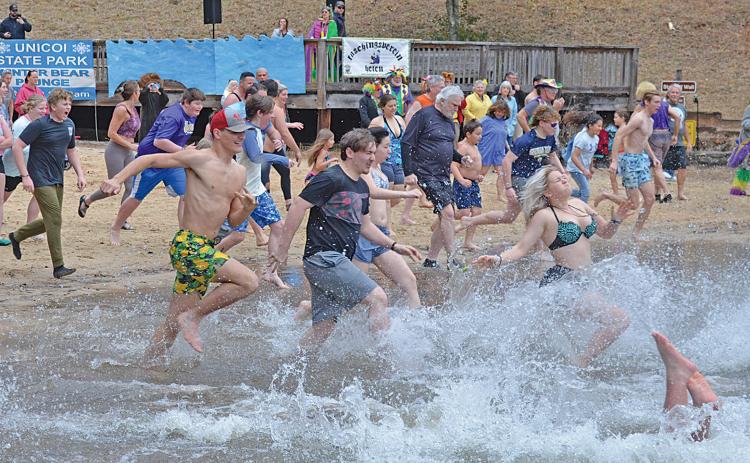 The crowd of 85 participants splash into Unicoi Lake for the annual Winter Bear Plunge Saturday morning. (Photo/Samantha Sinclair)