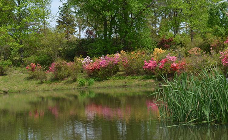 Colorful azaleas reflect on Happy Lake in the second phase of The Gardens at Eula Springs. Xavier Roberts plans to open the second phase to the public in Spring 2024. (Photo/Samantha Sinclair)