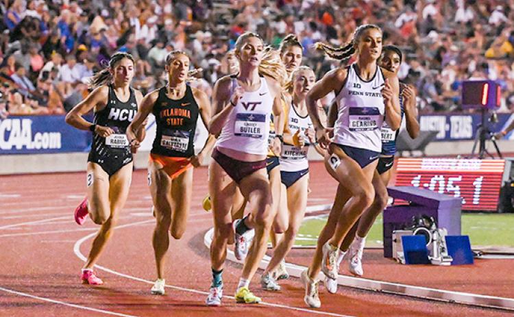 Penn State's Rachel Gearing leads a pack of runners around the track during an 800-meter preliminary heat race at the NCAA Outdoor Track & Field Championships last week in Austin, Texas. Gearing finished with the 15th best time to earn Second Team All-American honors. (Photo/Penn State Athletics)