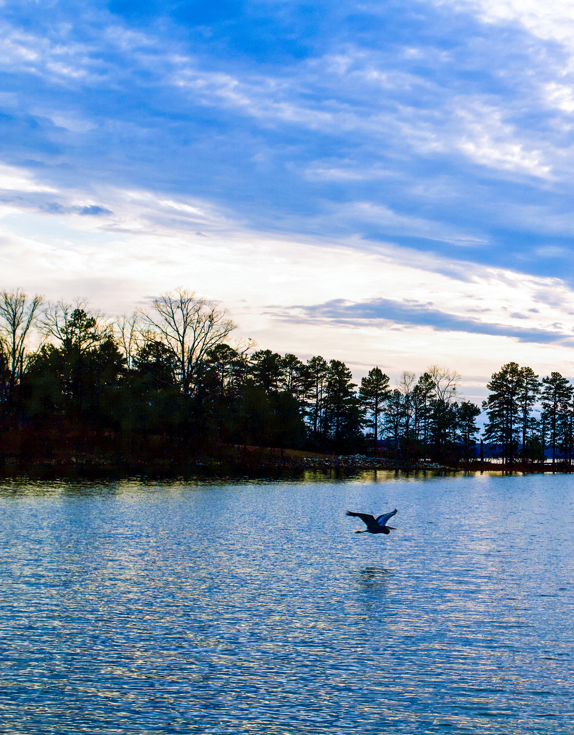 Elaine Jones, of Hartwell, took the winning cover photo for the winter Lake Living. 