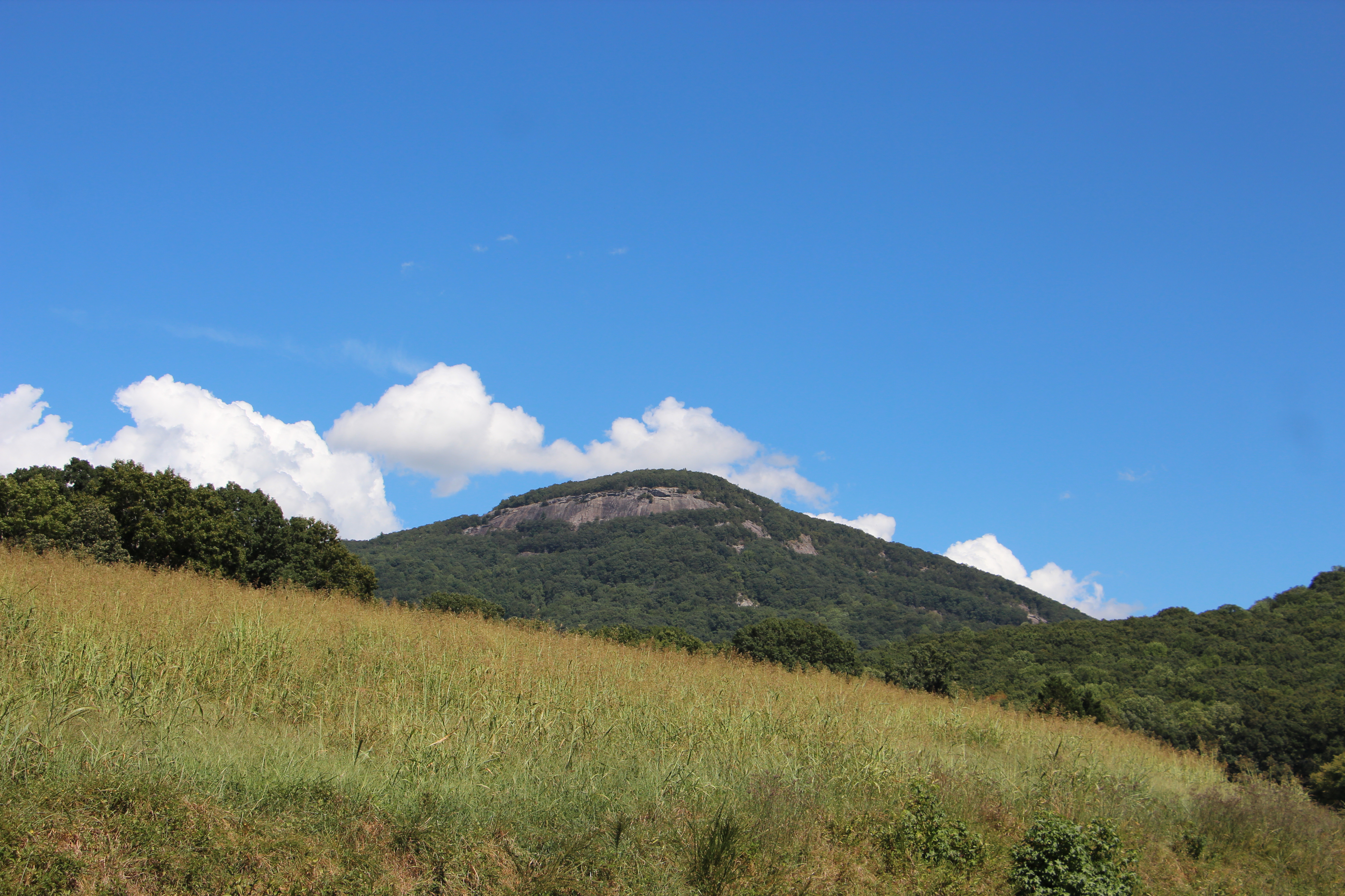 Human remains were found on Mt. Yonah earlier this month. PHOTO BY CARLY HENDERSON/WCN