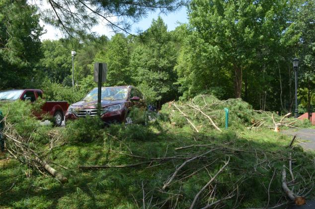A tree fell at Unicoi Hill Park and hit a parked car during the storm. (Photo/Stephanie Hill)