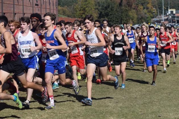Eamonn O'Bryant is the Warriors' top returning runner after finishing 28th in the Class AAAA meet last winter in Carrollton. (Photo/Mark Turner)