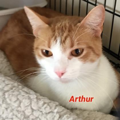Arthur