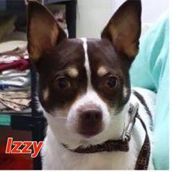 Izzy