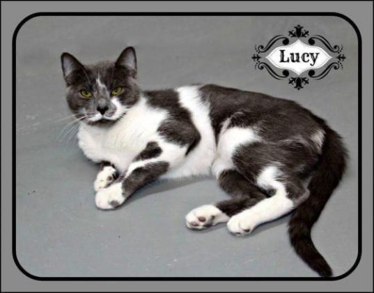 Lucy