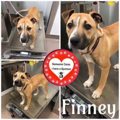 Finney