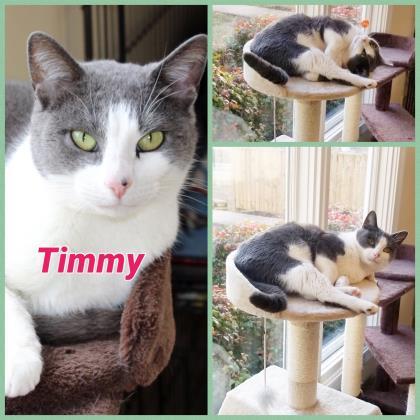 Timmy