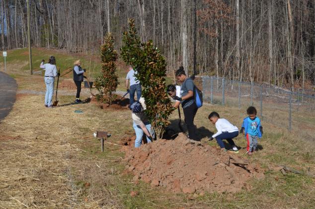 In front from left, Sam Litz, Ivy Scott, Jaquilla Scott, Jonah Scott and J.J. Scott team up to arrange a magnolia tree. In the background, Cindi Sisk and Josh Irvin shovel dirt onto a root bed. (Photo/Wayne Hardy)