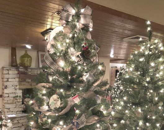 The annual Festival of Trees fundraiser for the United Way of White County will wrap up this week with a Festival of Lights reception 6 p.m. Friday, Dec. 6, at Unicoi State Park &amp; Lodge.