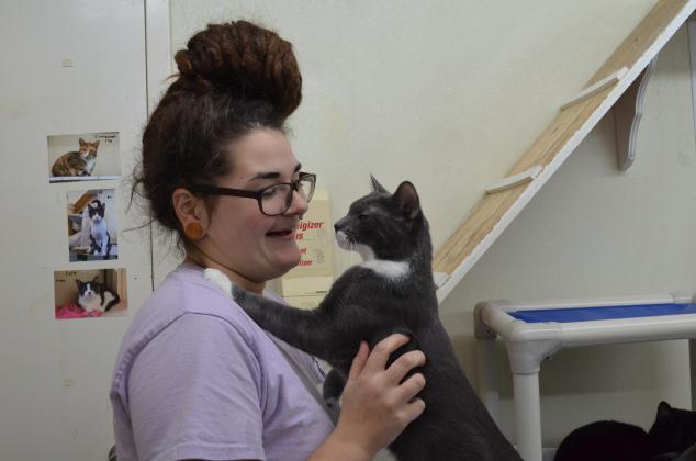 Charles Smithgall Humane Society staffer Lindsey Nelson and Kodi the cat greet each other.