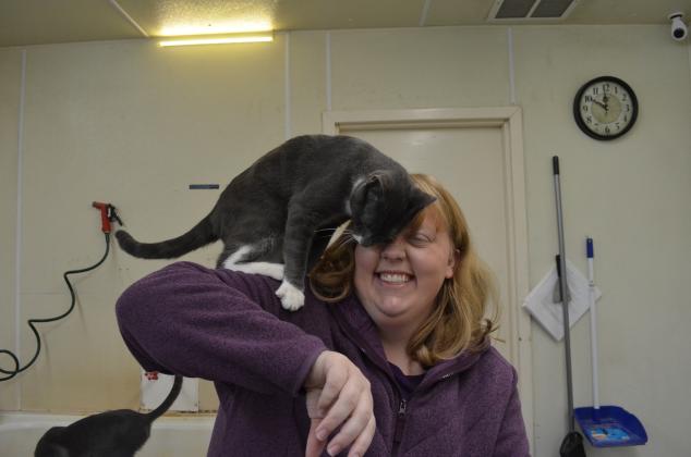 Jodi the cat had a fun time nuzzling up to reporter Stephanie Hill.