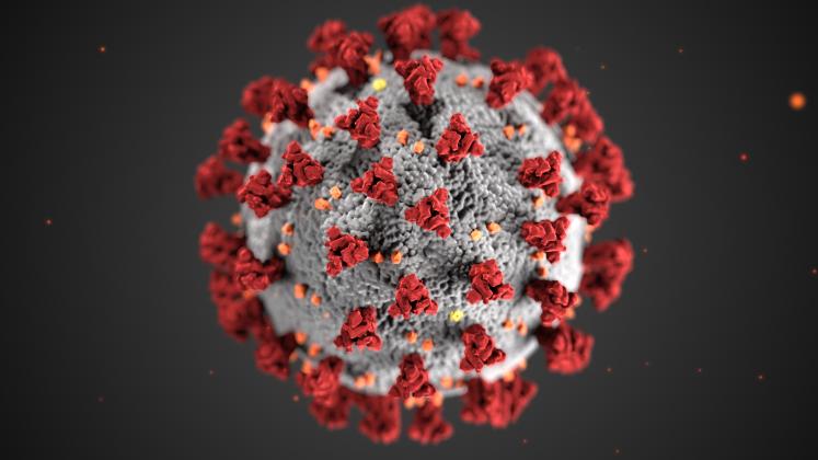 Coronavirus updates for White County