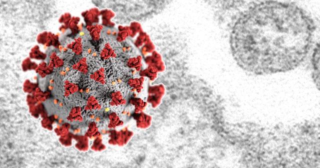 Coronavirus updates for White County