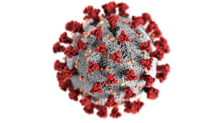 There have been 33 total confirmed COVID-19 cases in White County since the start of the pandemic, according to the 7 p.m. update on Wednesday, April 22, on the Georgia Department of Public Health's website.