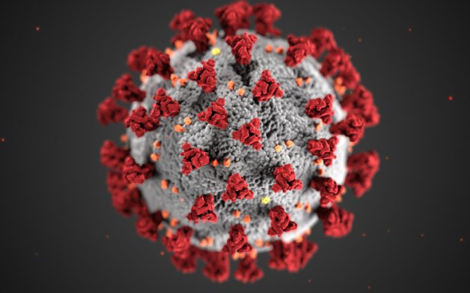 The number of confirmed coronavirus cases in White County has risen to four.