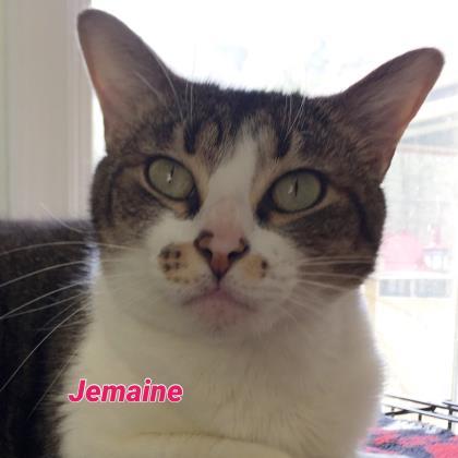 Jermaine