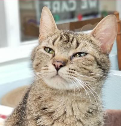 Ella
