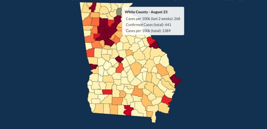 There have been 441 total confirmed COVID-19 cases in White County since the start of the pandemic, according to the update  on Sunday, Aug. 23, on the Georgia Department of Public Health's website.