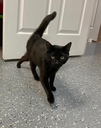 Binx