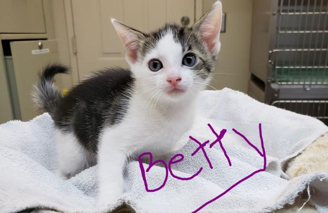 Betty