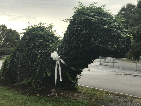 A white bow was attached to the “Nixasaurus” at Jack P. Nix Elementary school in memory of June Parks. (Photo/Stephanie Hill)