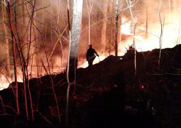 Firefighters worked hard on Sunday, March 7 to protect homes from a wildfire on Yonah Mountain. (Photos courtesy White County Public Safety)