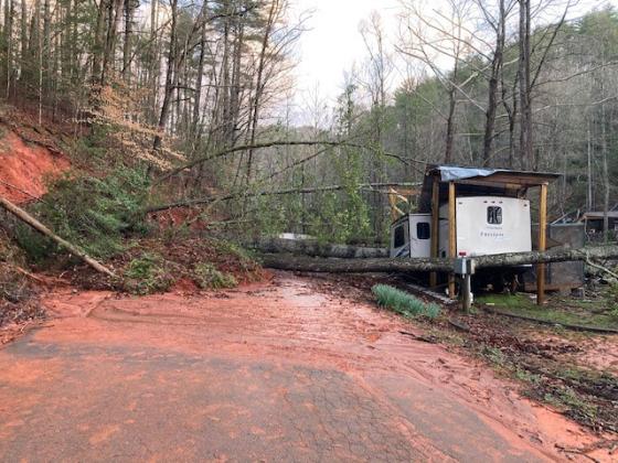 These trees on Poplar Stump Road fell following the storm on March 25.  (Photo courtesy White County Public Works)